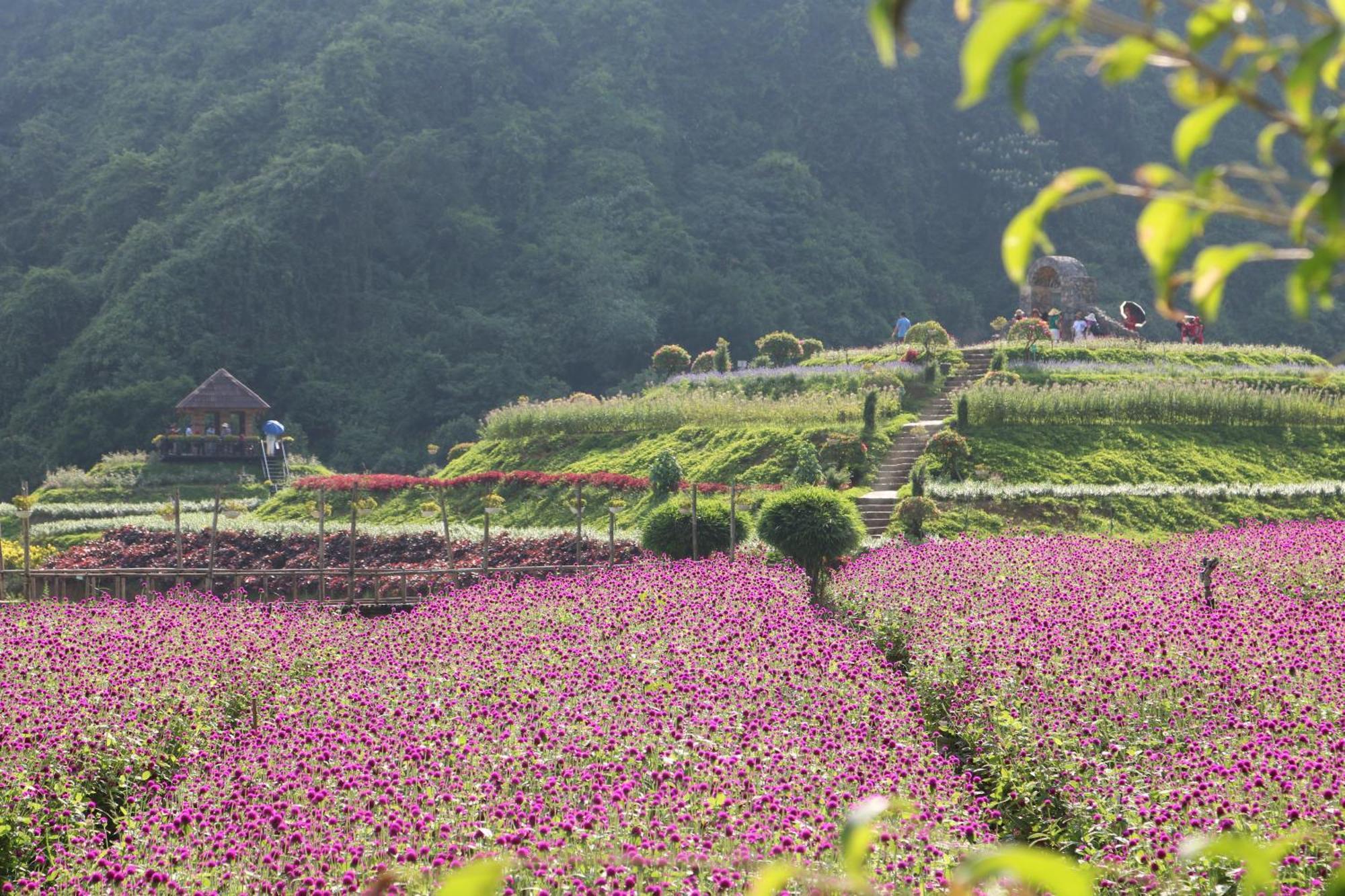 Thung Nham Resort นิญบิ่ญ ภายนอก รูปภาพ