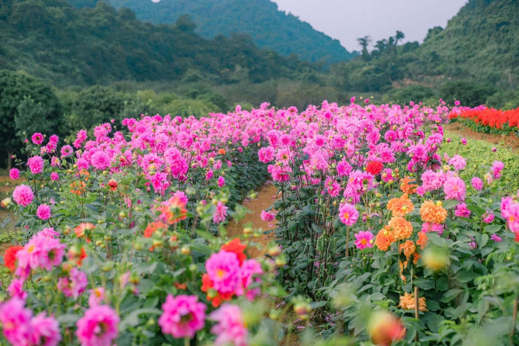Thung Nham Resort นิญบิ่ญ ภายนอก รูปภาพ