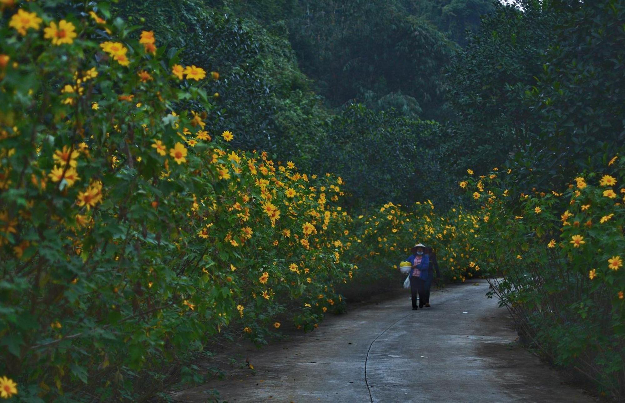 Thung Nham Resort นิญบิ่ญ ภายนอก รูปภาพ