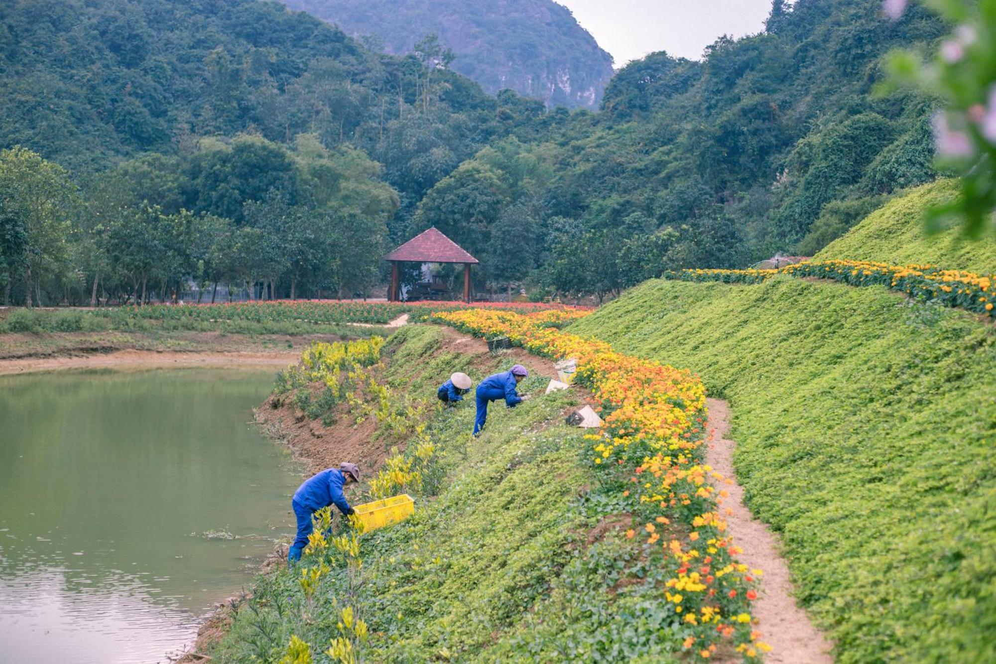 Thung Nham Resort นิญบิ่ญ ภายนอก รูปภาพ
