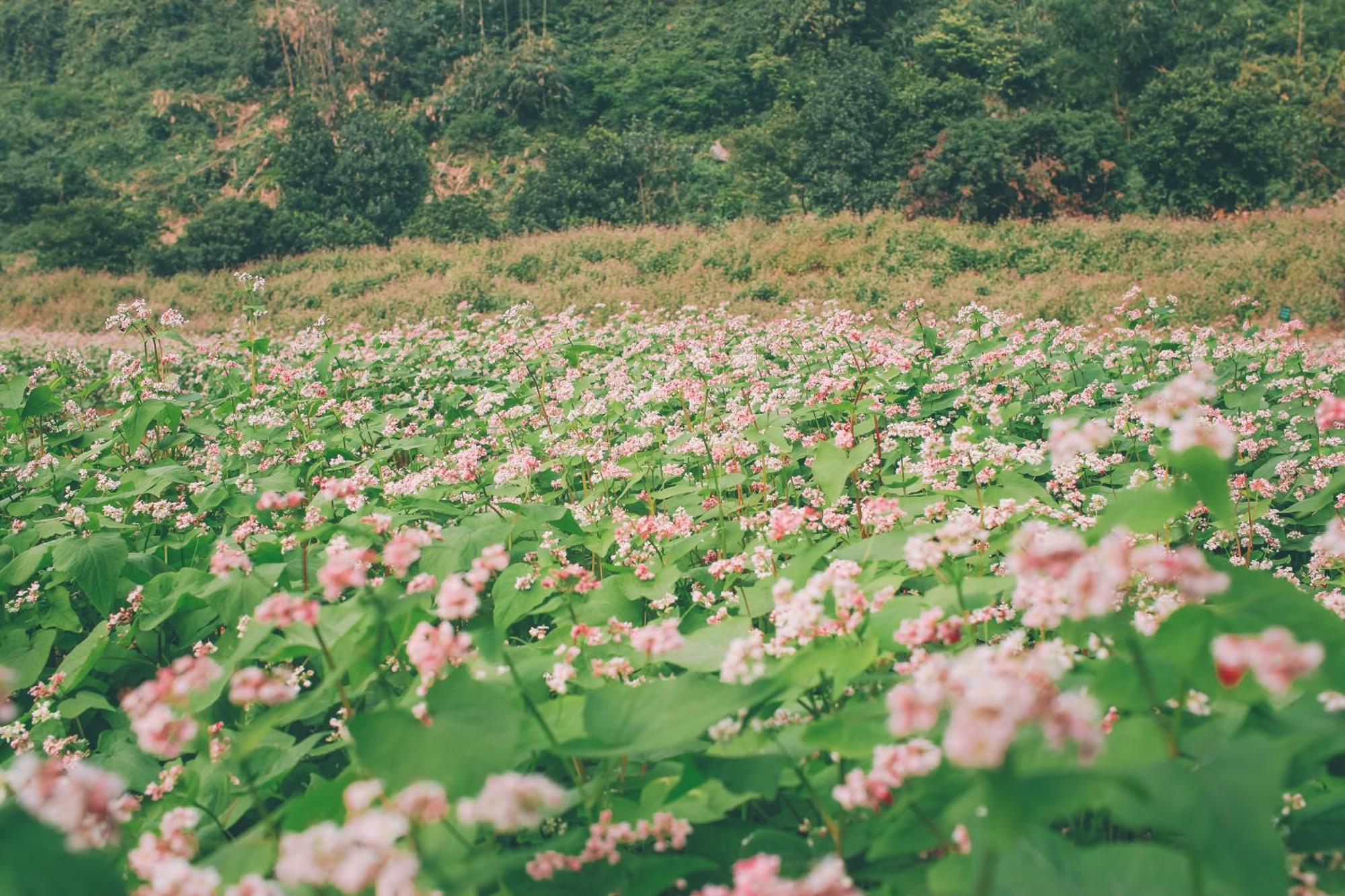 Thung Nham Resort นิญบิ่ญ ภายนอก รูปภาพ