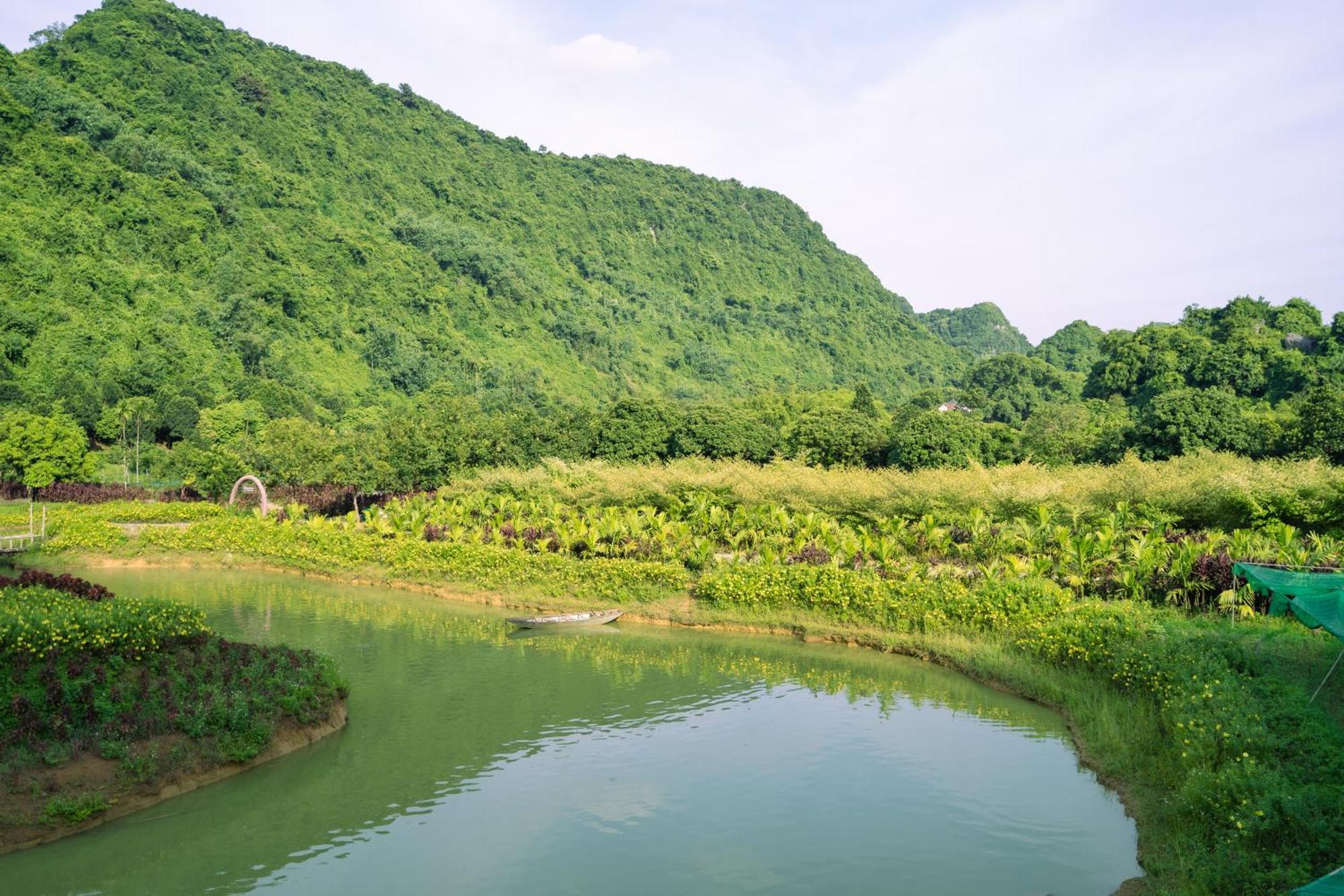 Thung Nham Resort นิญบิ่ญ ภายนอก รูปภาพ